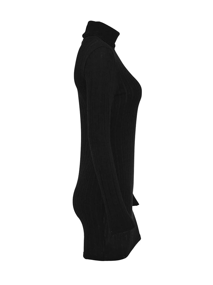 Women Dresses Elegant Party Autumn Winter New Turtleneck Long Sleeves Sexy Sheath Mini Dresses Bodycon Club Knitted Dress