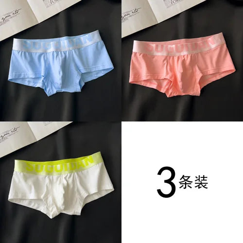3pcs/lot Men&