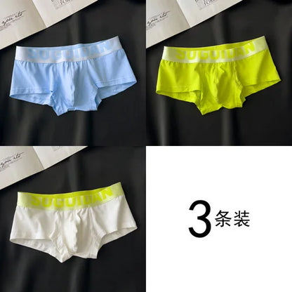 3pcs/lot Men&
